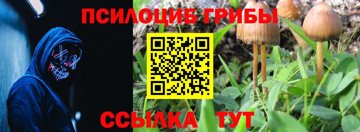 Кострома  Галлюциногенные грибы мицелий  Вход с VPN  Галлюциногенные грибы MAGIC MUSHROOMS 