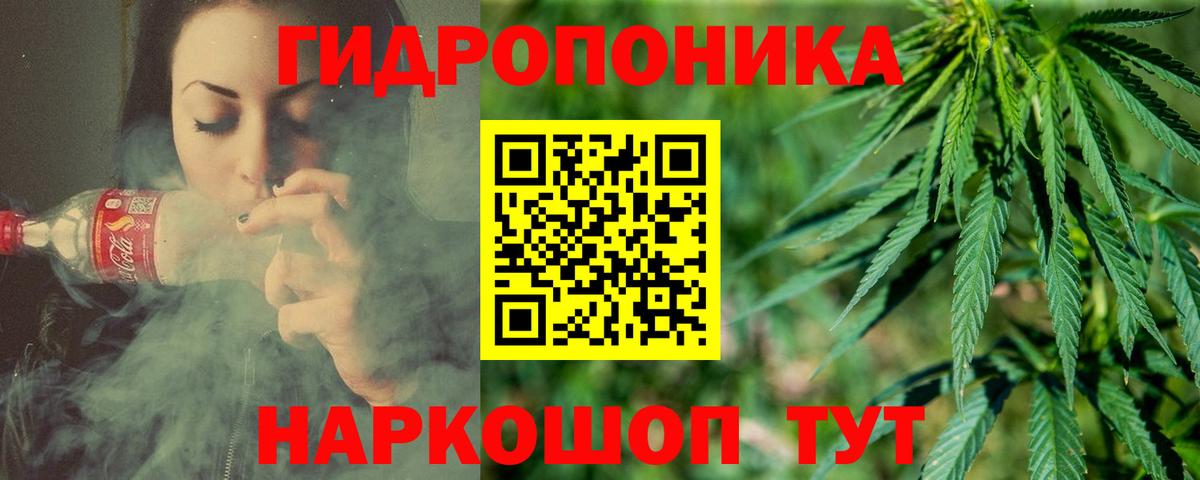 Кострома  МАРИХУАНА конопля  Шишки марихуана White Widow  Канабис тримм  Бошки Шишки White Widow  Вход с VPN 